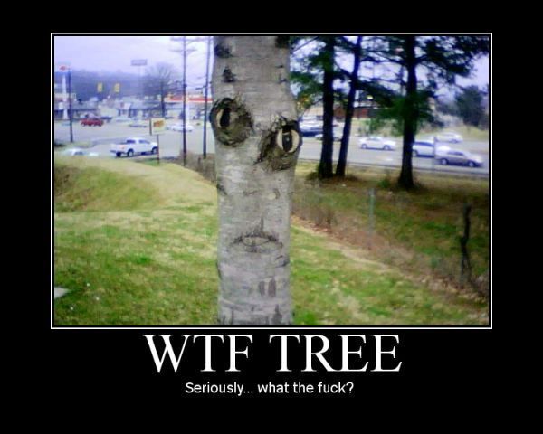 WTF is that tree - meme