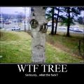 WTF is that tree