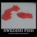 sweden candy fish..