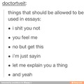 essay