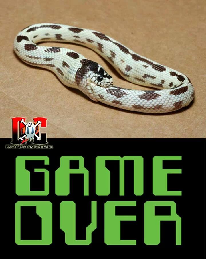 Game Over - meme