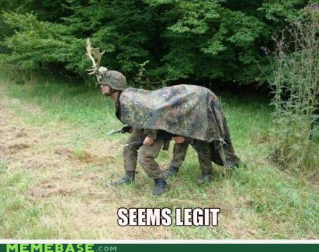 It's a moose... - meme
