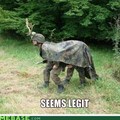It's a moose...