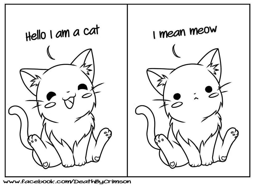 Meow. :3 - meme