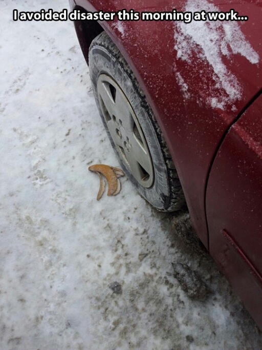 some people are irresponsible jerks...banana peels on roads are deadly!! - meme