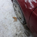 some people are irresponsible jerks...banana peels on roads are deadly!!