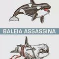 As Baleias