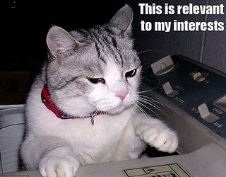 interest cat - meme