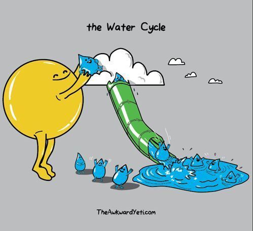 le cycle de l'eau - meme