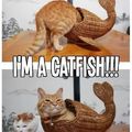 cat-fish!!!