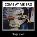 Ninja sloth