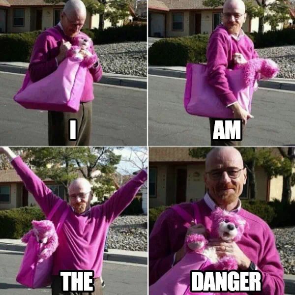 the danger - meme