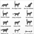 Como entender a tu gato