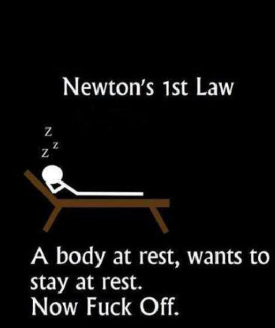 newton`s 1st law. - meme