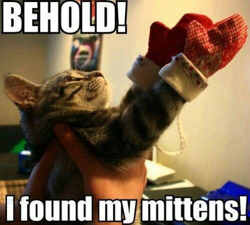 Lieutenant Dan! you got new mittens! - meme