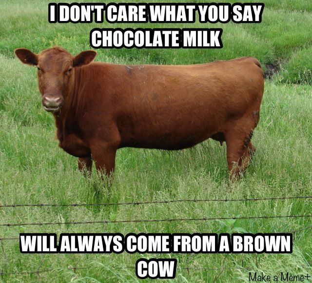 I don't care  - meme