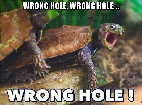 Wroooong hole Bitch - meme