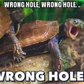 Wroooong hole Bitch