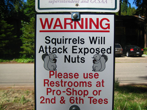 better watch those nuts.. - meme