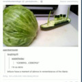 4th comment is human-lettuce.