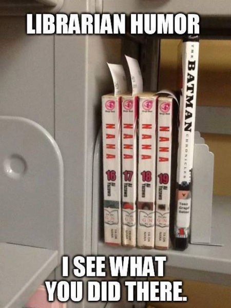 librarian level 100 - meme
