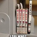 librarian level 100