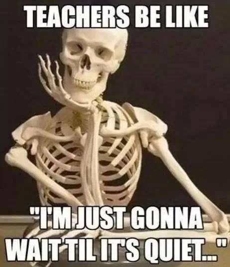 teachers pleease ... - meme
