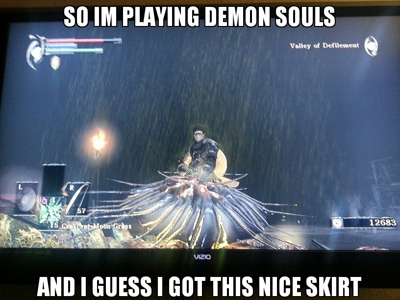 Demon Souls players will get this - meme