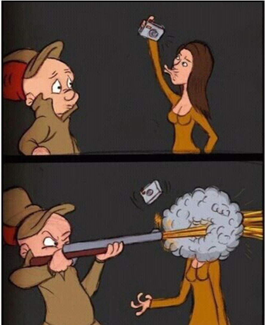 Duck Hunting: you're doing it right - meme