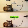 Charging Your Cat