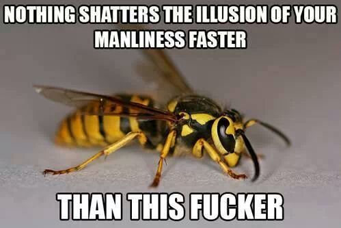 Fuckin Wasps - meme