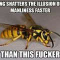 Fuckin Wasps