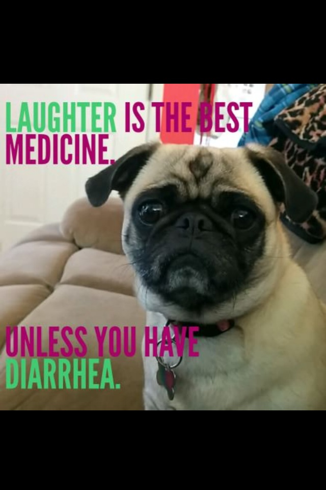 Diarrhea. - meme