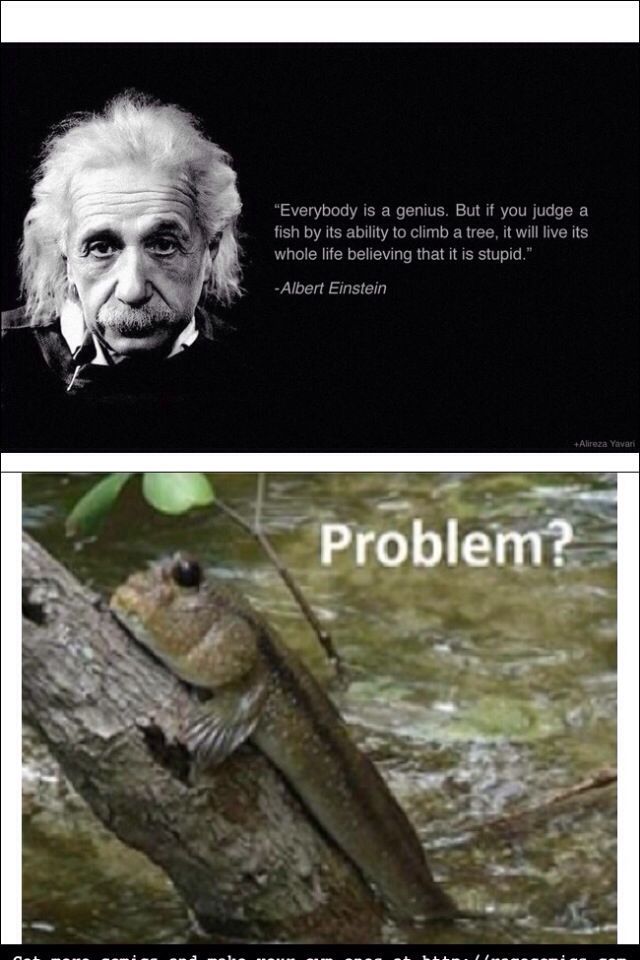 Problem Einstein? - meme