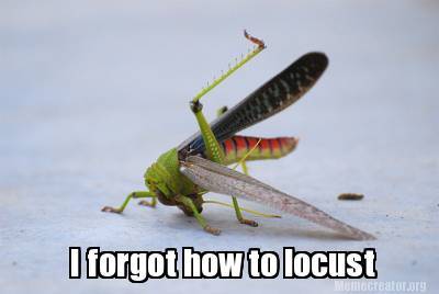 silly locust - meme