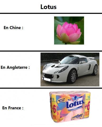 lotus - meme