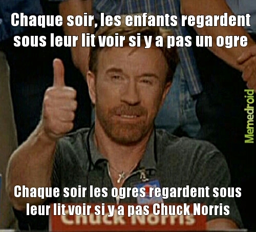Take Chuck Norris atittude - meme