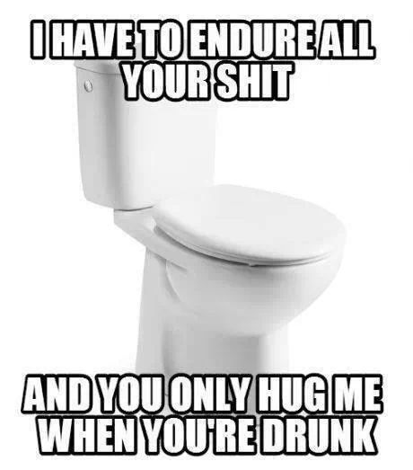 don't worry toilet tonight is your night - meme