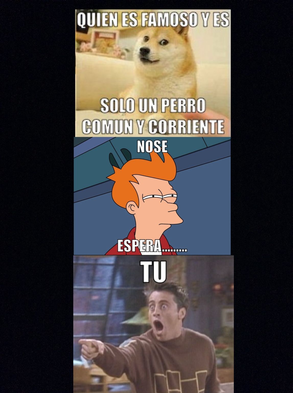 Doge Fry Joey  - meme