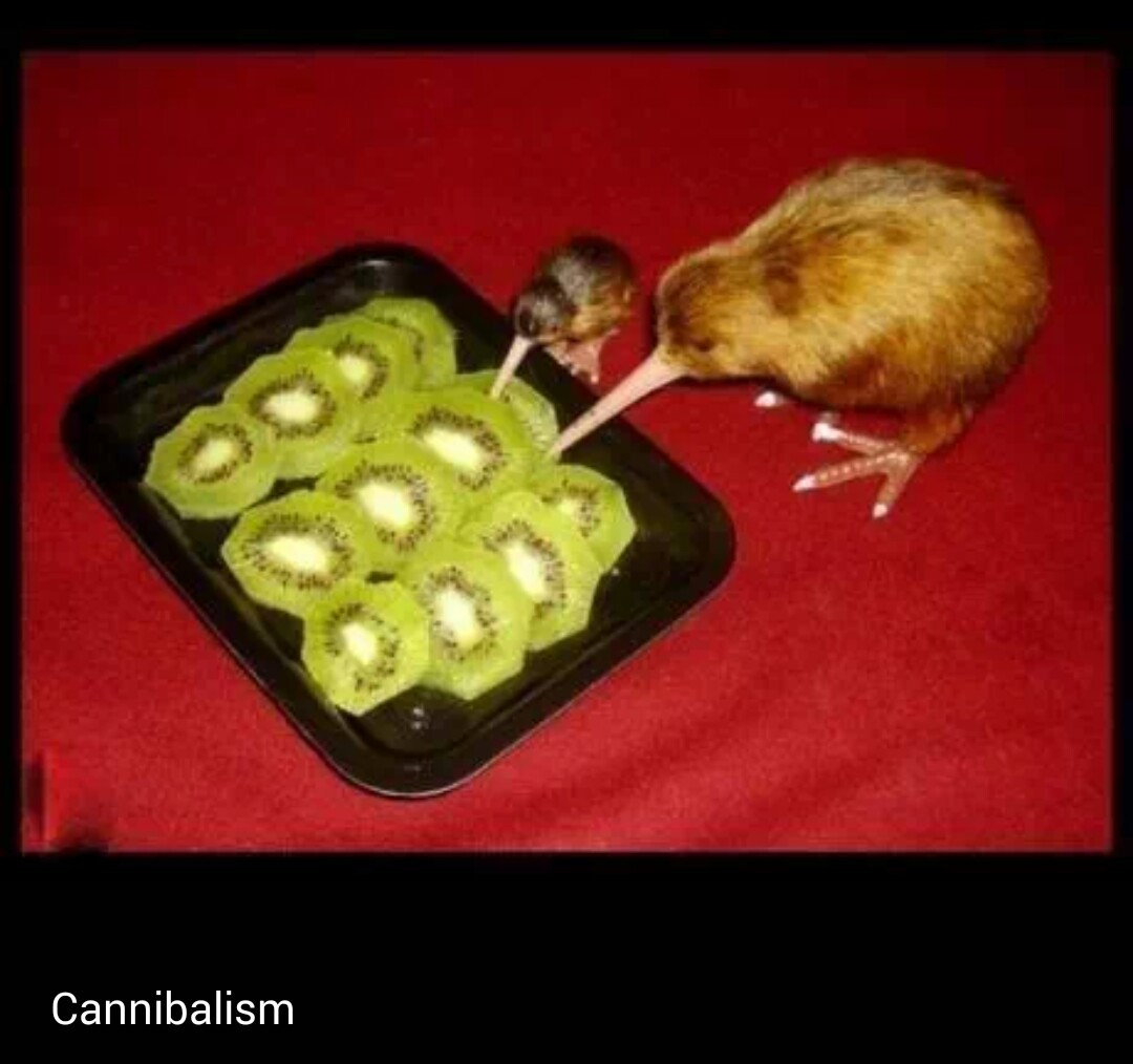 cannibalism - meme