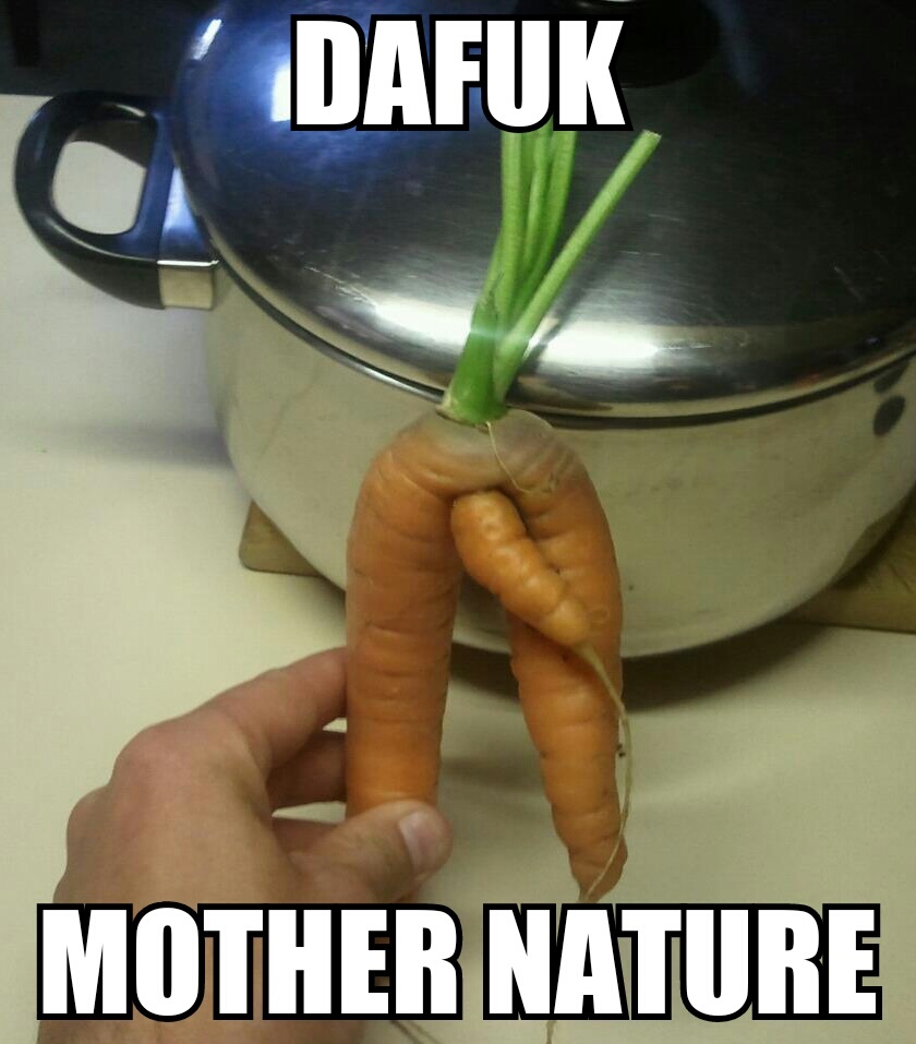 mother nature - meme