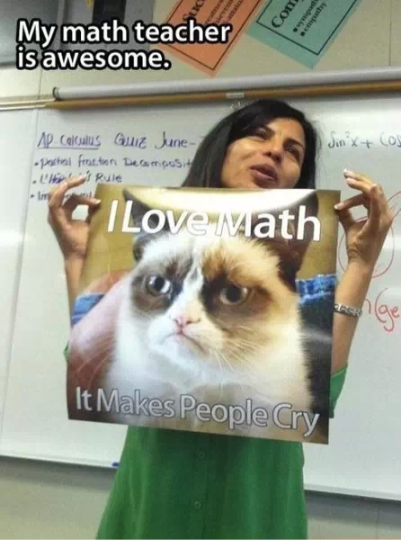 Gotta love math - meme