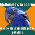 paranoid parrot