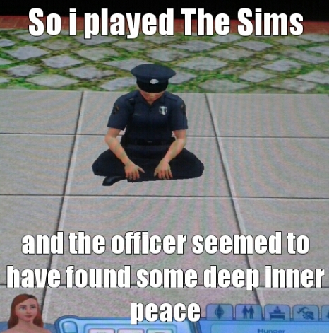 The Sims 3 - meme