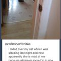 Cats Hold Grudges