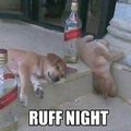 Ruff Night