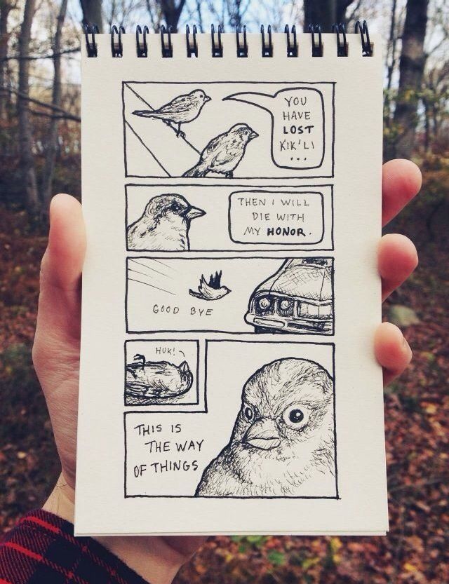 And this is the reason why the birds fall on cars - meme