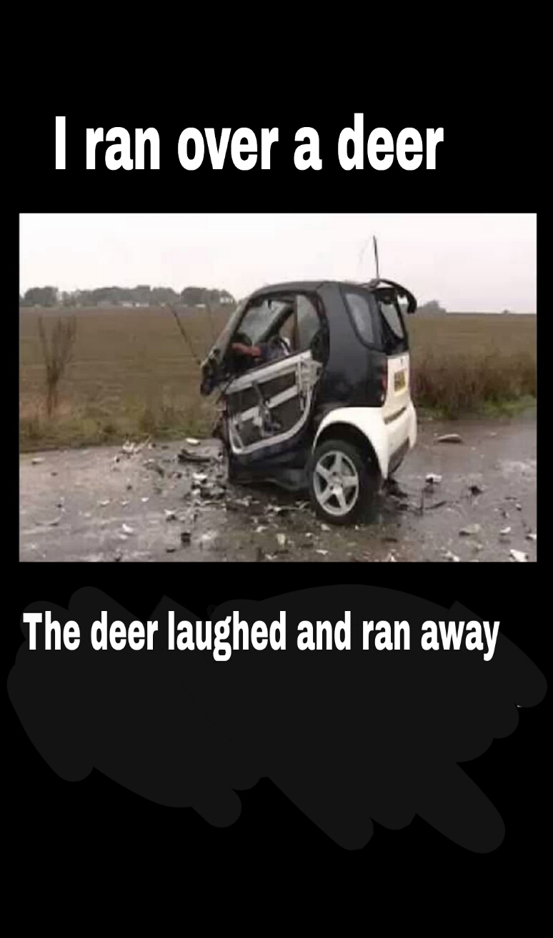 that deer :O - meme