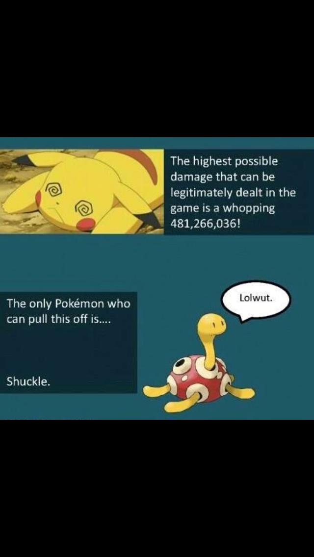 This is why I love shuckle... - meme