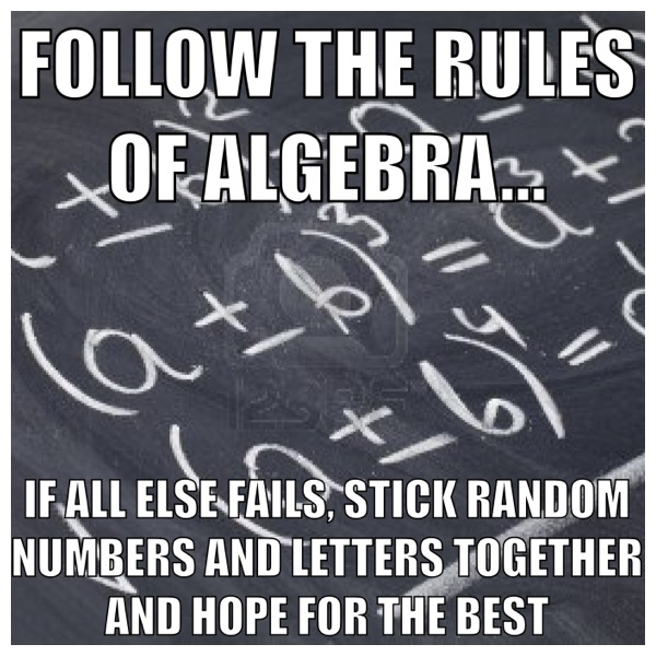 Why do we even need algebra unless we are Einstein?!?: by Lucy Dyson - meme
